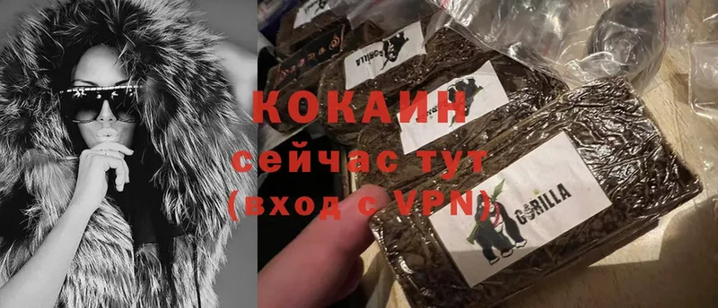 МЕГА ССЫЛКА  Грайворон  Cocaine 99% 